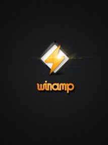 Winamp Pro v5.666 Build 3516
