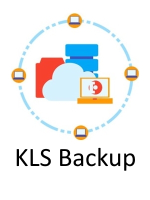 KLS Backup 2019 Professional v10.0.3.5 x86 / x64