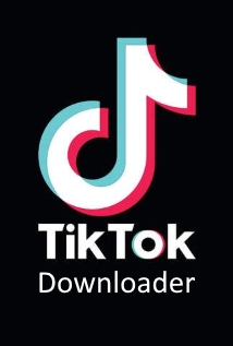 TikTok Downloader 3.3.2