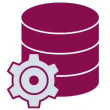 Allround Automations PL SQL Developer 16.0.8.2175