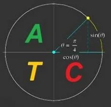Advanced Trigonometry Calculator 2.1.6
