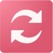 Icecream Video Converter Pro 1.48