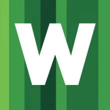 WildBit Viewer Pro 6.19 Commercial