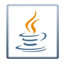 Java SE Development Kit 25.0.2