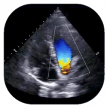 Trillium Technology ShowCase Image Center 2.7.0.5