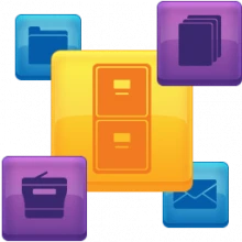 Tungsten PaperPort Professional 14.80