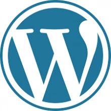 WordPress 6.9.1