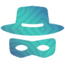 Starus Web Detective 4.1